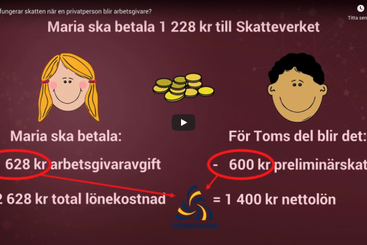 Video preview